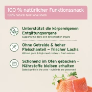 Detox-Snack 300 g