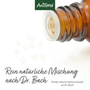 Bachblüten Rivalität 15 g