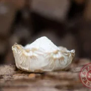 Algenkalk gemahlen 500 g