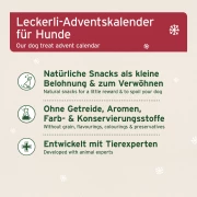 Adventskalender 2024 für Hunde