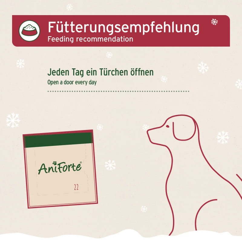 Adventskalender 2024 für Hunde