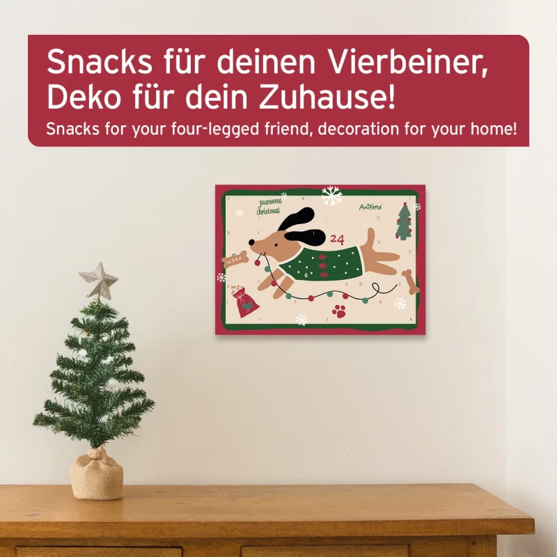 Adventskalender 2024 für Hunde