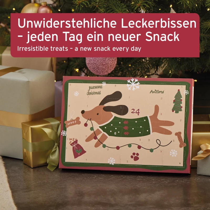 Adventskalender 2024 für Hunde