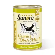 BIO Gemüse-Obst-Mix 1 mit Bio-Karotte, Bio-Zucchini, Bio-Kürbis und Bio-Apfel
