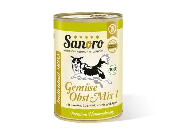 BIO Gemüse-Obst-Mix 1 mit Bio-Karotte, Bio-Zucchini, Bio-Kürbis und Bio-Apfel