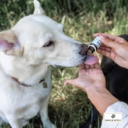 Blütenmischung nach Dr. Bach REIZBARKEIT REVIERKÄMPFE AGGRESSIONEN für Hunde und Katzen