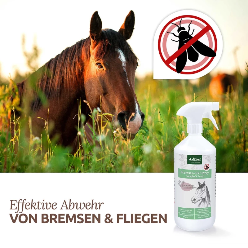 Bremsen-EX Spray 1l