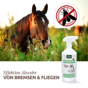 Bremsen-EX Spray 1l