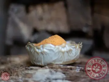 Hagebuttenschalen gemahlen 250g