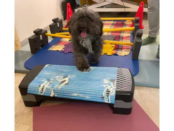 Hochwertiges Essen – wenn selbst die Fast-Food-Nation umdenkt