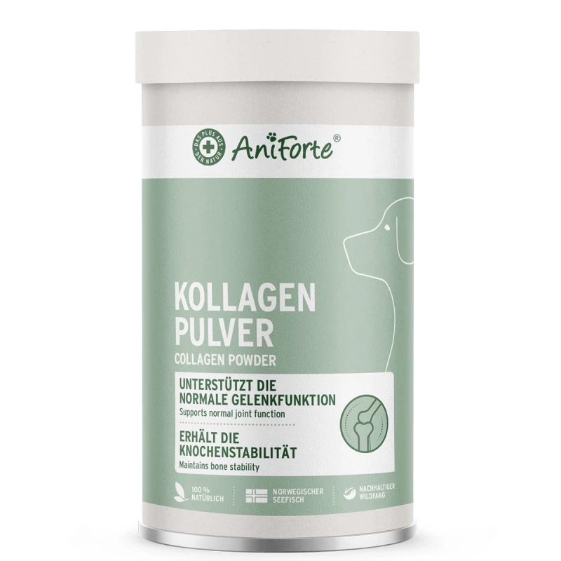 Kollagen Pulver