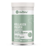 Kollagen Pulver