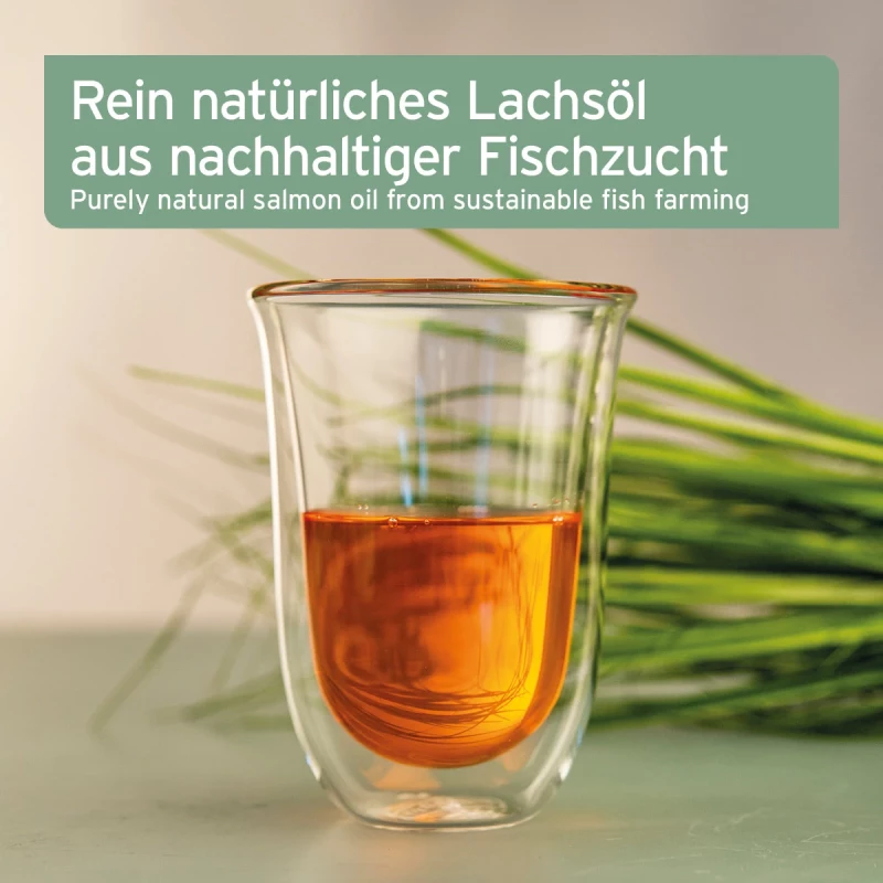 Lachsöl