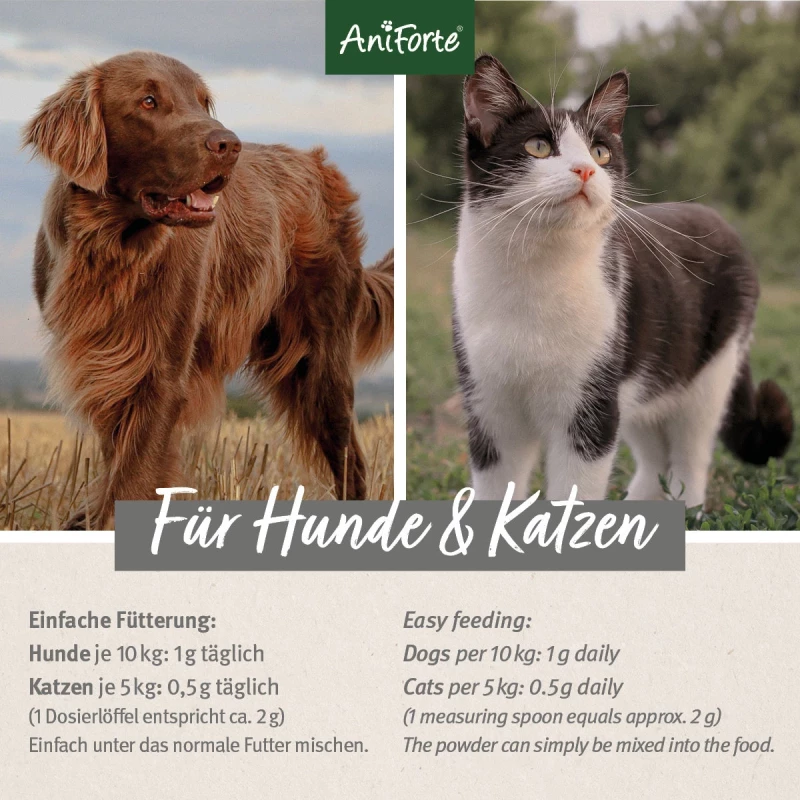 MSM Pulver für Hunde & Katzen 300 g