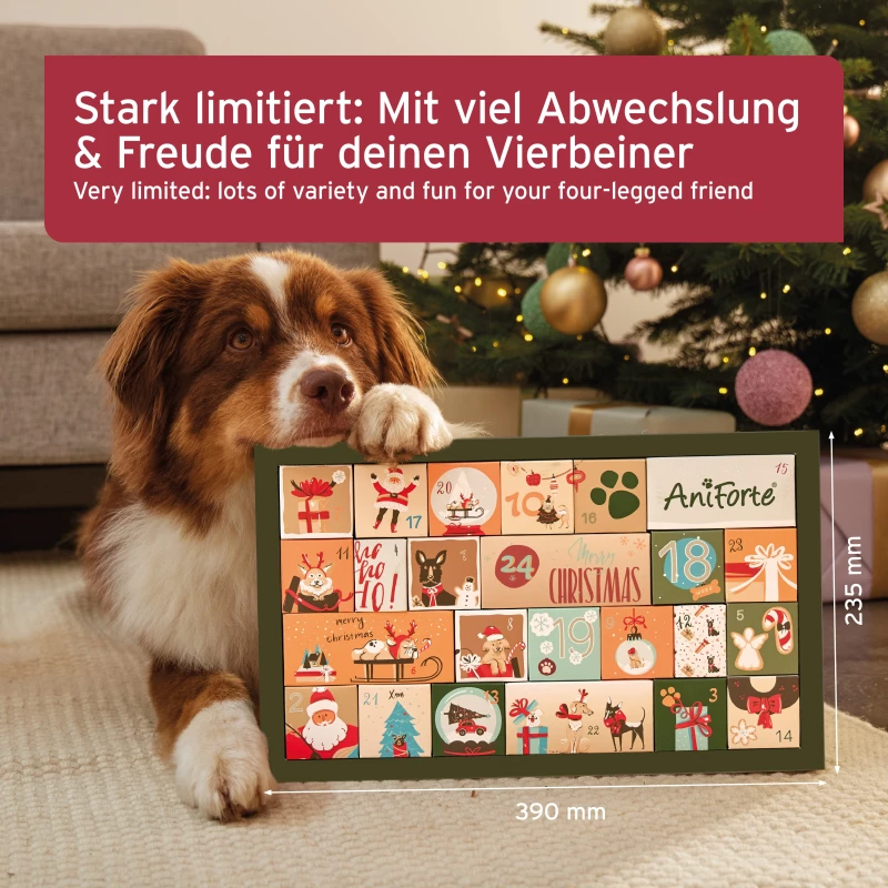 Premium Adventskalender 2024 für Hunde