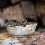 Produktinformationen "Pansenmehl 250g"  Haben Sie einen mäkeligen Fresser daheim? Dann sollten Sie einmal Pansenmehl unters Futter mischen, es regt den Appetit an und macht aus jeder Mahlzeit einen Leckerbissen.