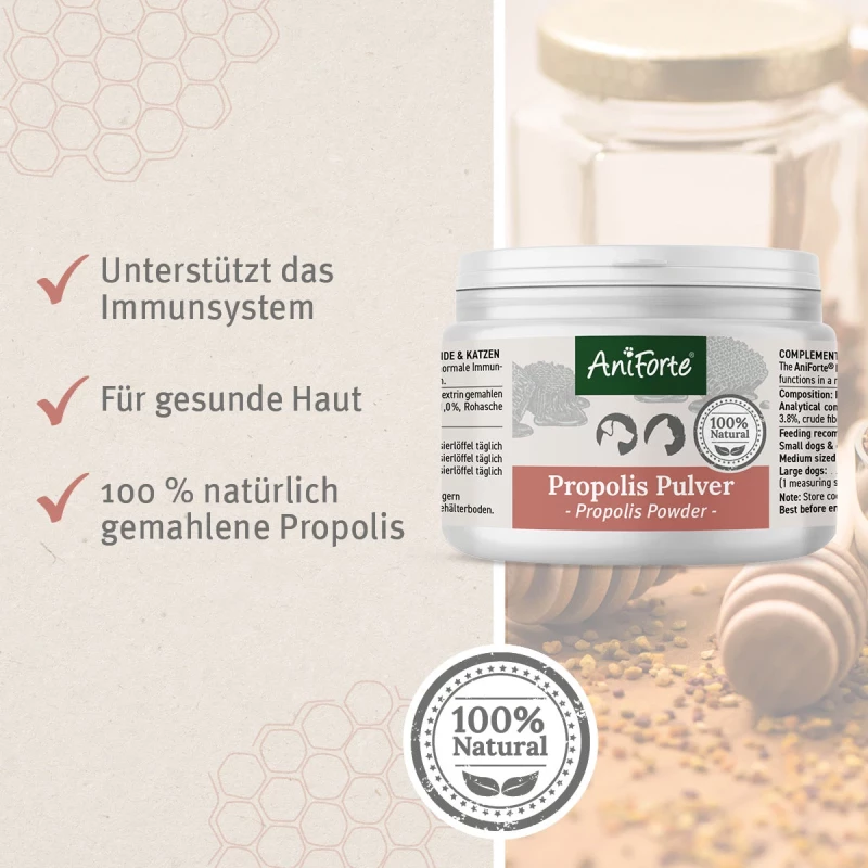 Propolis Pulver 20 g