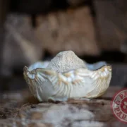 Teufelskralle gemahlen 250g