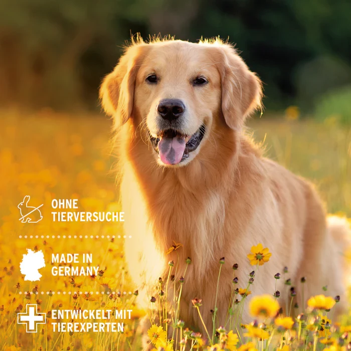 VET Ohrentropfen 50 ml