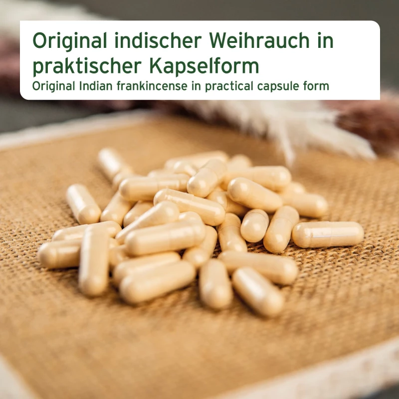 Weihrauch Kapseln 100 Stk.