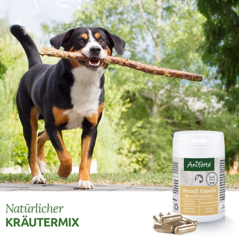 WermiX Kapseln für Hunde 50 Stk.