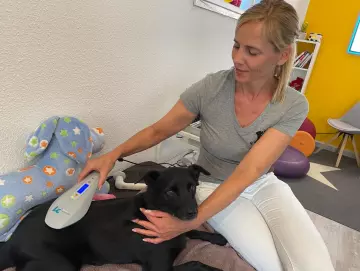 Vorsicht bei „Blitz-Ausbildungen“ für Hundephysiotherapie & Co. Und woran Du eine gute Therapeutin bzw. einen guten Therapeuten erkennst