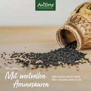 Ägyptische Schwarzkümmelsamen 1 kg